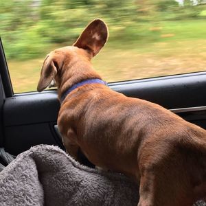 Meet your Posher, Krys